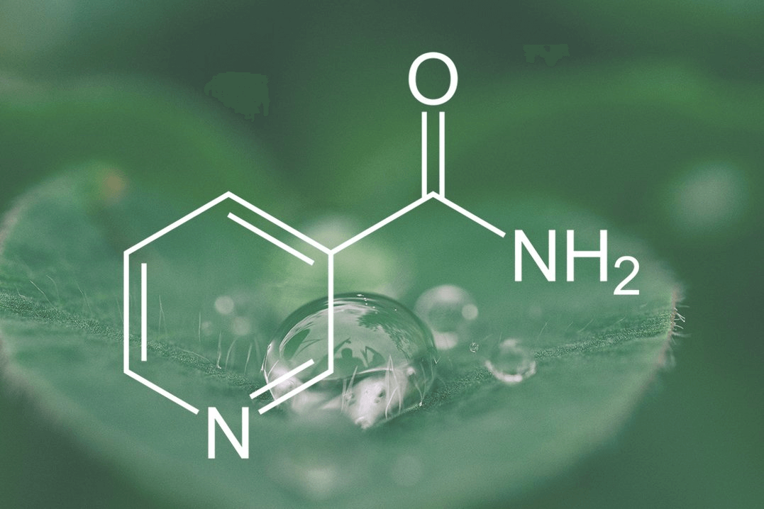 Kosmetyki z niacynamidem - jak działa witamina B3